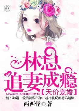 天价宠婚：林总追妻成瘾封面