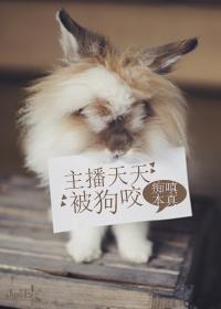 主播天天被狗咬封面