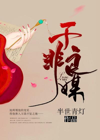 子非良媒封面