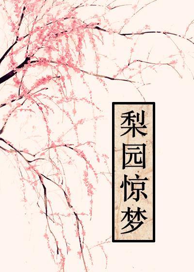 梨园惊梦封面