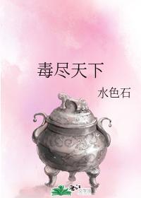 毒尽天下封面