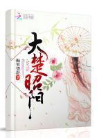 大楚昭阳封面