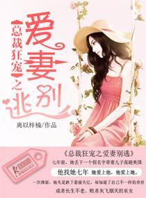 总裁狂宠之爱妻别逃封面