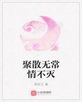 聚散无常惟情不灭封面