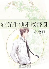 霍先生他不找替身封面