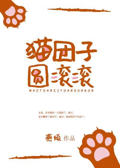 猫团子圆滚滚封面