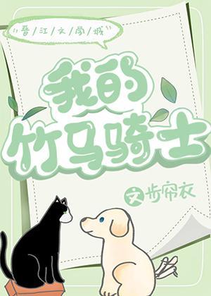 我的竹马骑士封面