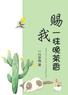 赐我一抹晚茶香封面