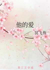 他的爱封面