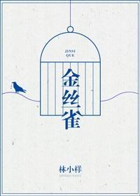 金丝雀封面