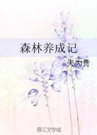 森林养成记封面