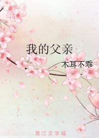 我的父亲封面