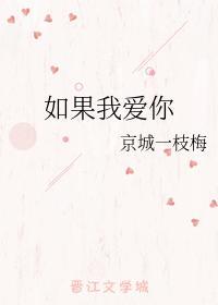 如果我爱你封面