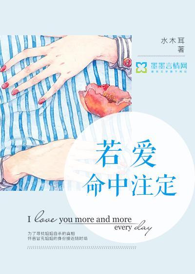 若爱命中註定封面