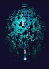 三嫁未晚封面