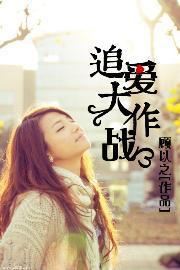 追爱大作战封面
