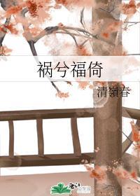 祸兮福倚封面