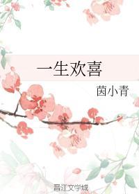 一生欢喜封面
