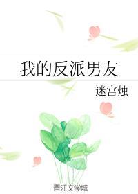 我的反派男友封面