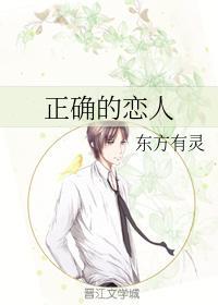 正确的恋人封面