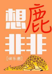 想鹿非非封面