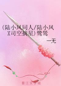 鹭鸶（重修版）封面