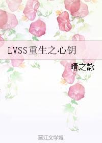 LVSS重生之心钥封面