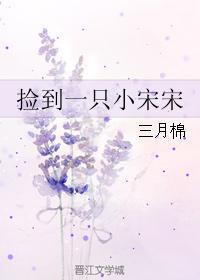 捡到一只小宋宋封面