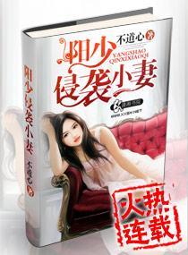 阳少侵袭小妻封面