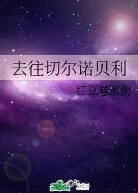 去往切尔诺贝利封面