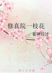 修真院一枝花封面