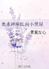 奥术神座BL向小黑屋封面