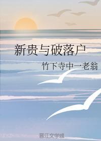 新贵与破落户封面