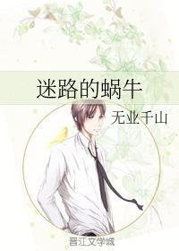 迷路的蜗牛封面