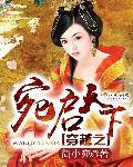 穿越之宛启天下封面