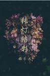 张灯结彩封面