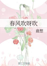 春风吹呀吹封面