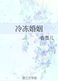 冷冻婚姻封面