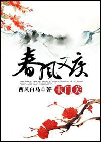 春风又度玉门关封面