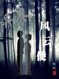 异界风云使封面