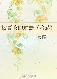 被篡改的过去（哈赫）封面
