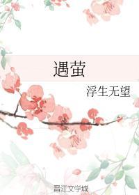 遇萤封面