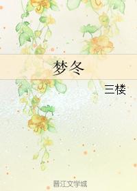 梦冬封面