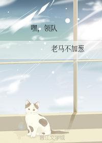 嘿，领队封面
