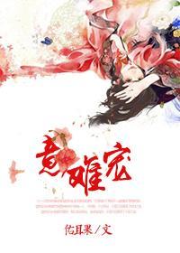 意难宠gl封面
