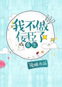 我不做佞臣了封面