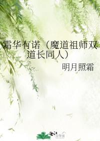 霜华有诺封面