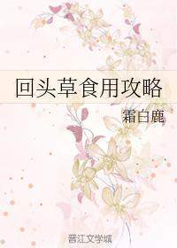 回头草食用攻略封面