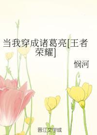 当我穿成诸葛亮封面