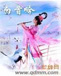 白首吟封面